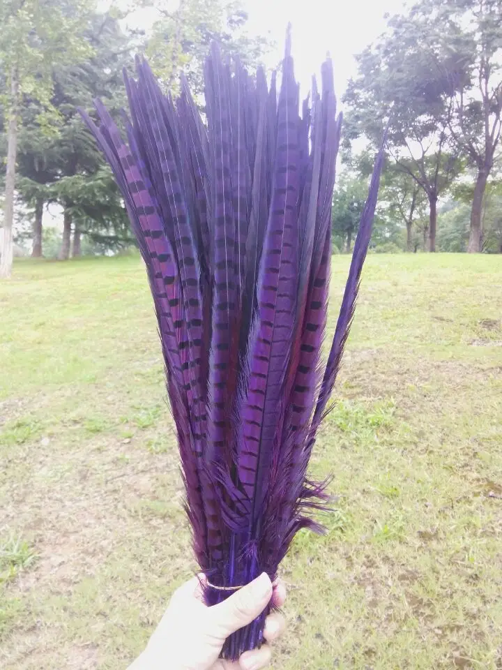sell 50 pc 16 18inches /40 45cm high quality purple natural pheasant