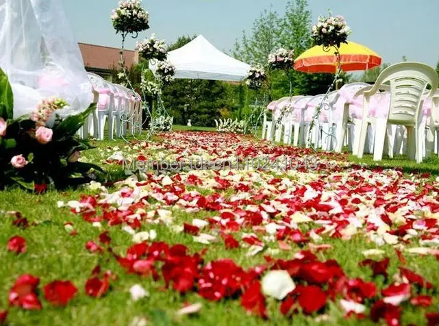 38 цветов, 10000 шт/партия, популярные цвета, свадебные украшения, модные искусственные шелковые лепестки роз для свадьбы или торжества, вечерние цветы