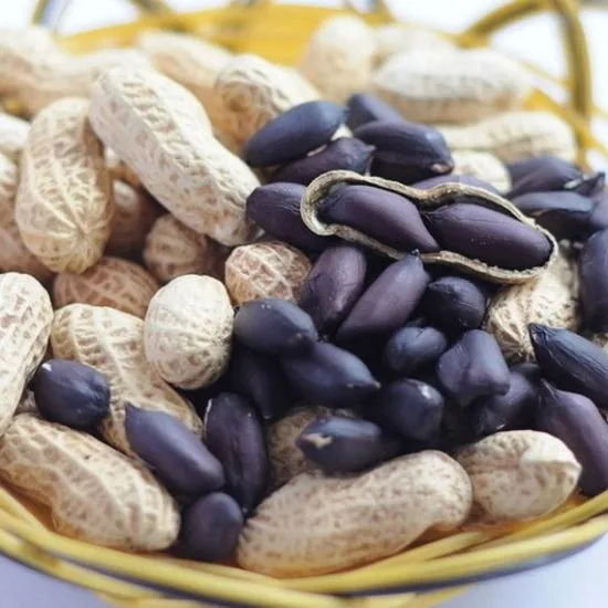 Black Peanut Seeds Peanut Plant Seeds Nut Seeds Organic