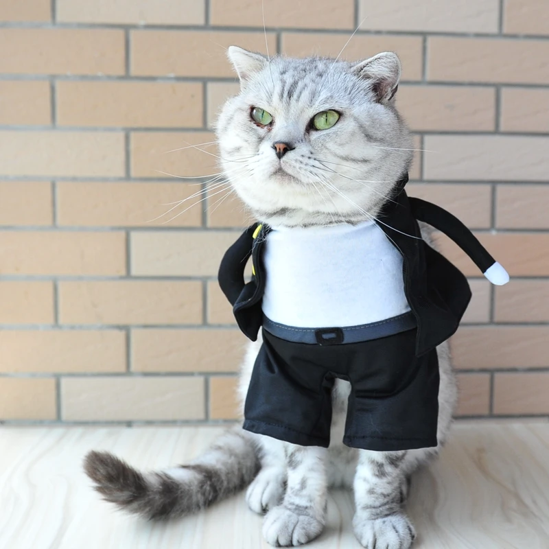 

[MPK Store] Cat Costume, Japanese Secret Society Costume for Cats and Dogs, Japanese Mafia Pet Costume