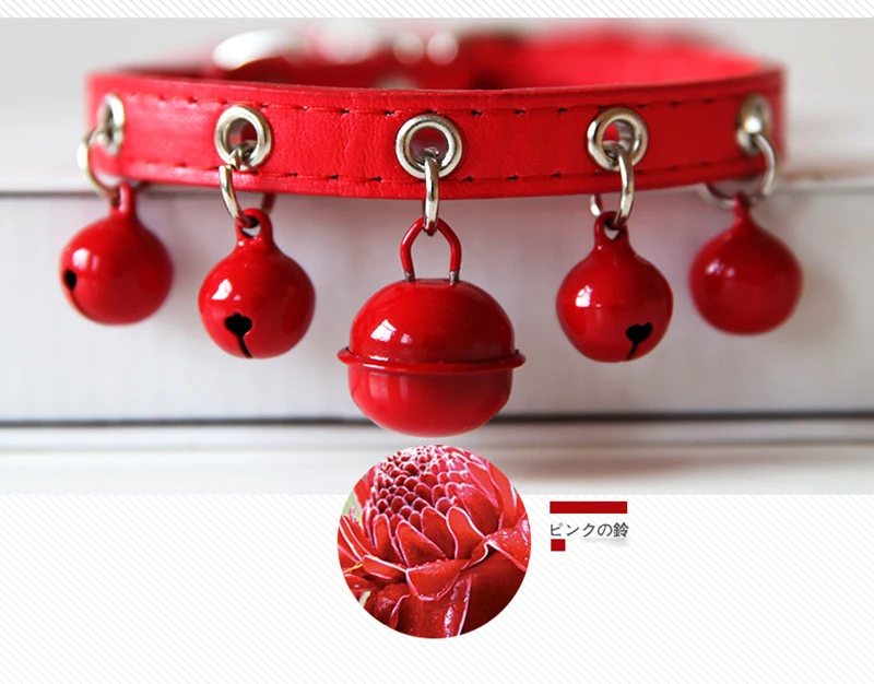 dog chain collar (10)