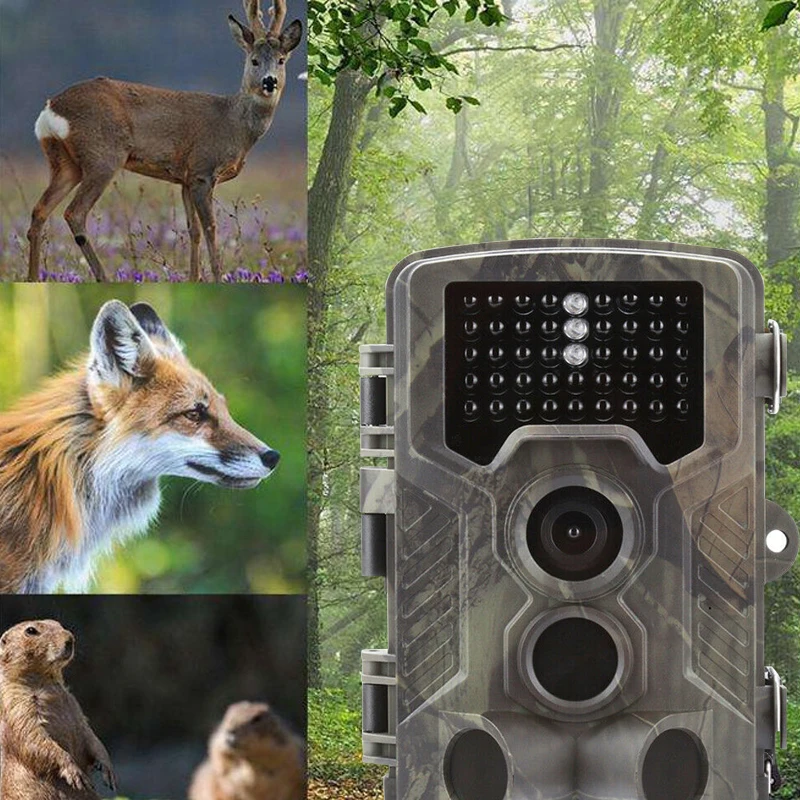 

Hunting Camera HD 1080P Infrared Trace Night Vision Waterproof Trail Camera for Outdoor LCC77