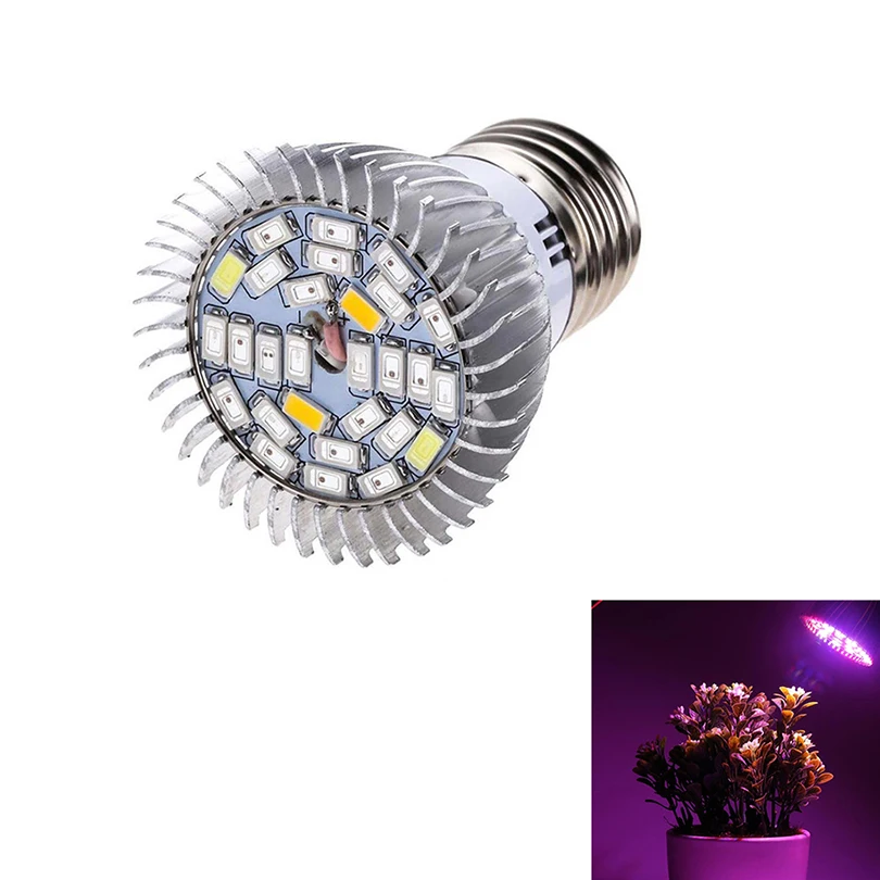 71x5e%2BRzC7L._SL1035_ 