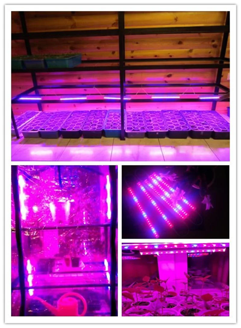 6 Вт-30 Вт растительный светильник T5 светодиодный светильник для комнатной теплицы гидропонная система лампа Палатка цветок рассада растений рост с переключателем
