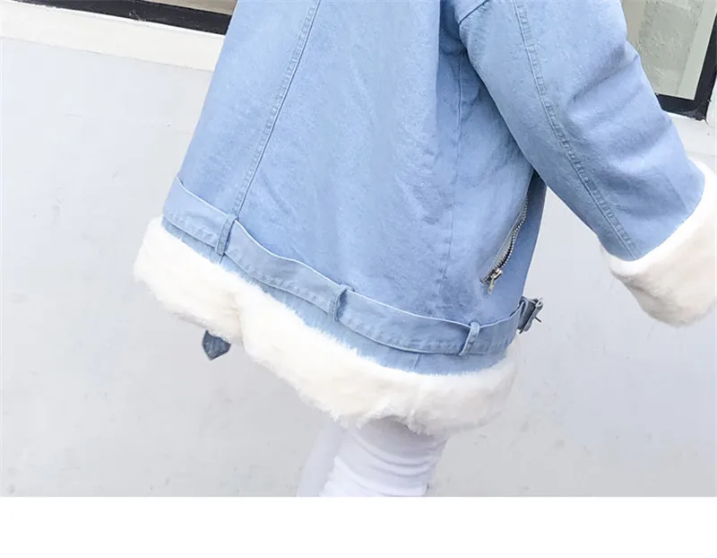 FF1479 (4)
