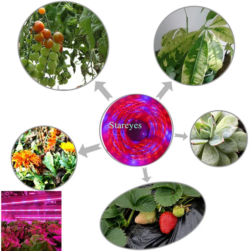100 шт. SMD 5050 5 м Светодиодная лента для роста, фито-лампа, полный спектр, светодиодный светильник для выращивания растений для теплицы, гидропоники