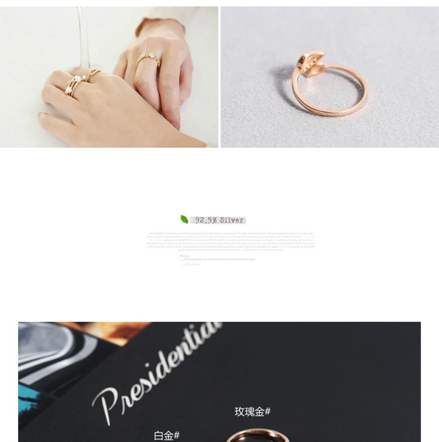 3124652825_262617212