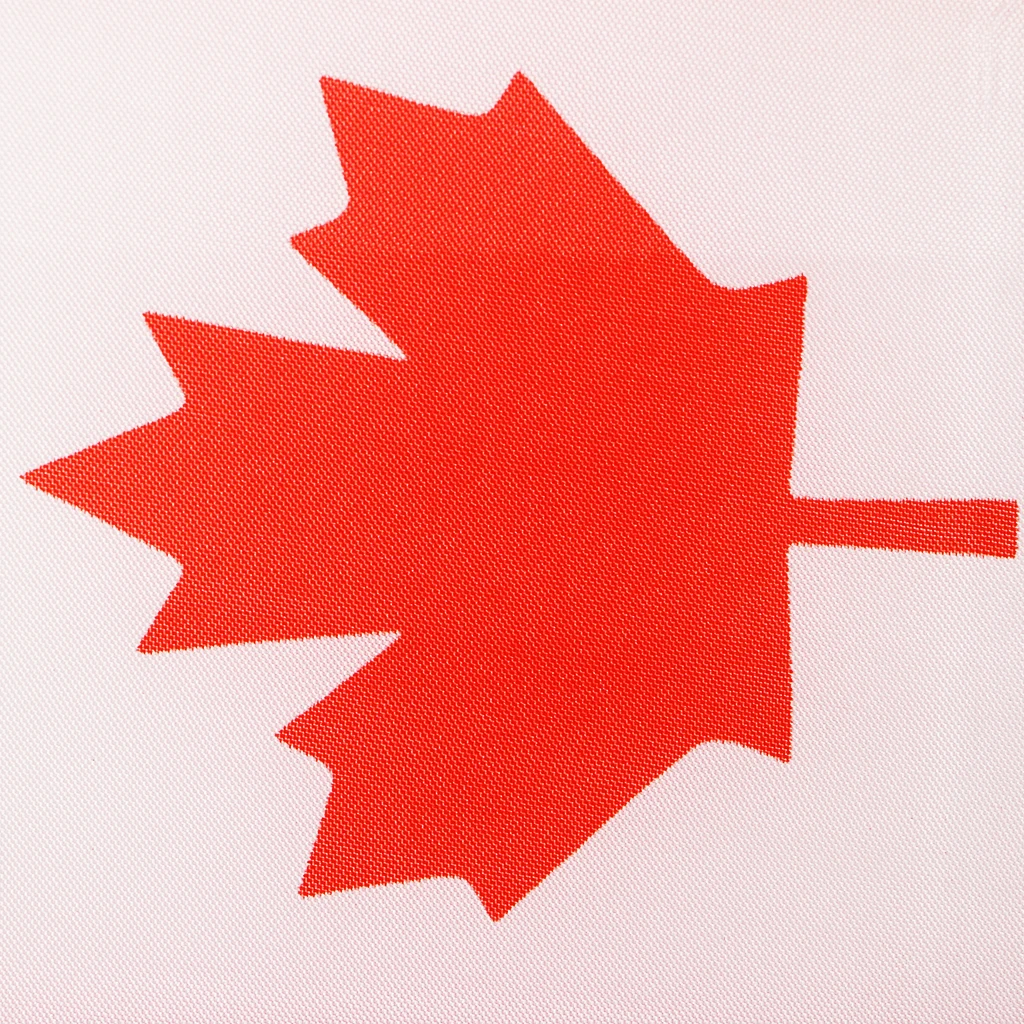 Canada Flags  Football Soccer String Flags Banner Decor 5.5M