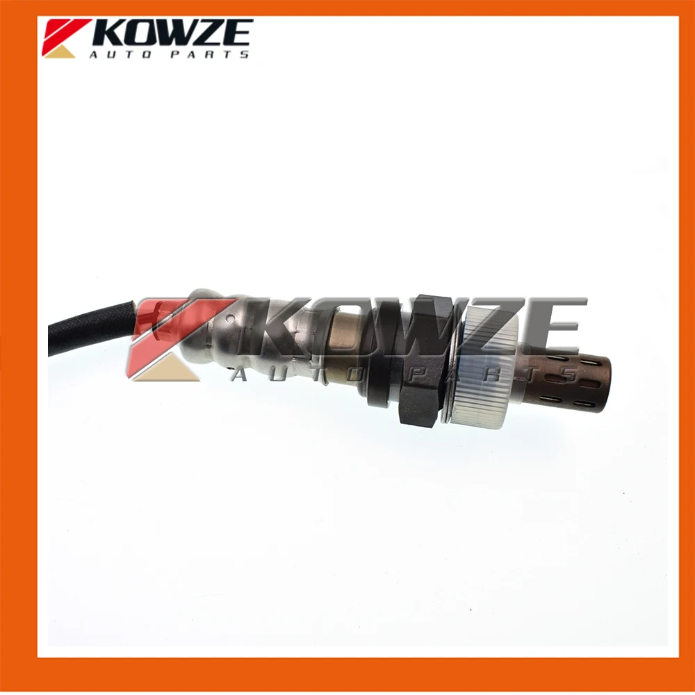 MN137944 (4)