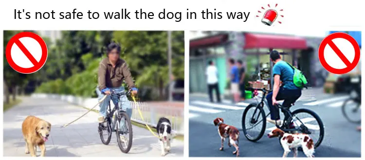 5694098975_483701537