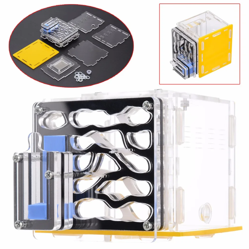 

Plastic Design DIY With Feeding Area Ant Farm Ants Nest Insect Nest Box Pet Mania For House Ants Villa Gift Educational
