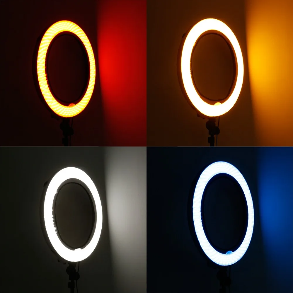 10088894_2