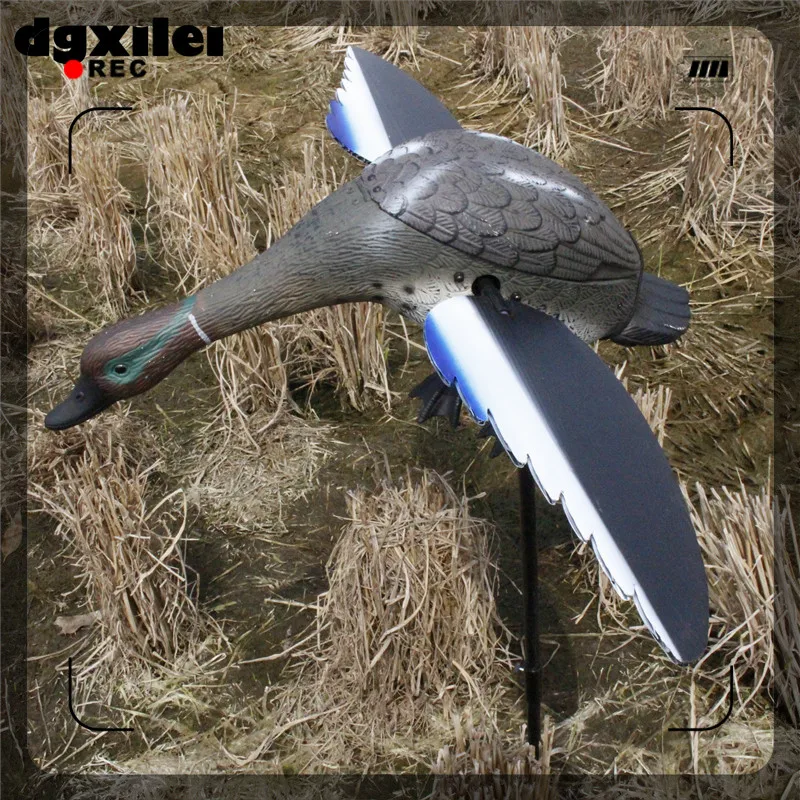 DGXILEI HUNTING DUCK 6V TEAL MOTION DECOY WITH REMOTEin Hunting Decoy from Sports