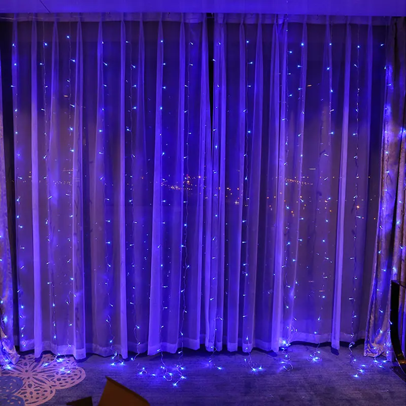 LED string light  (10)