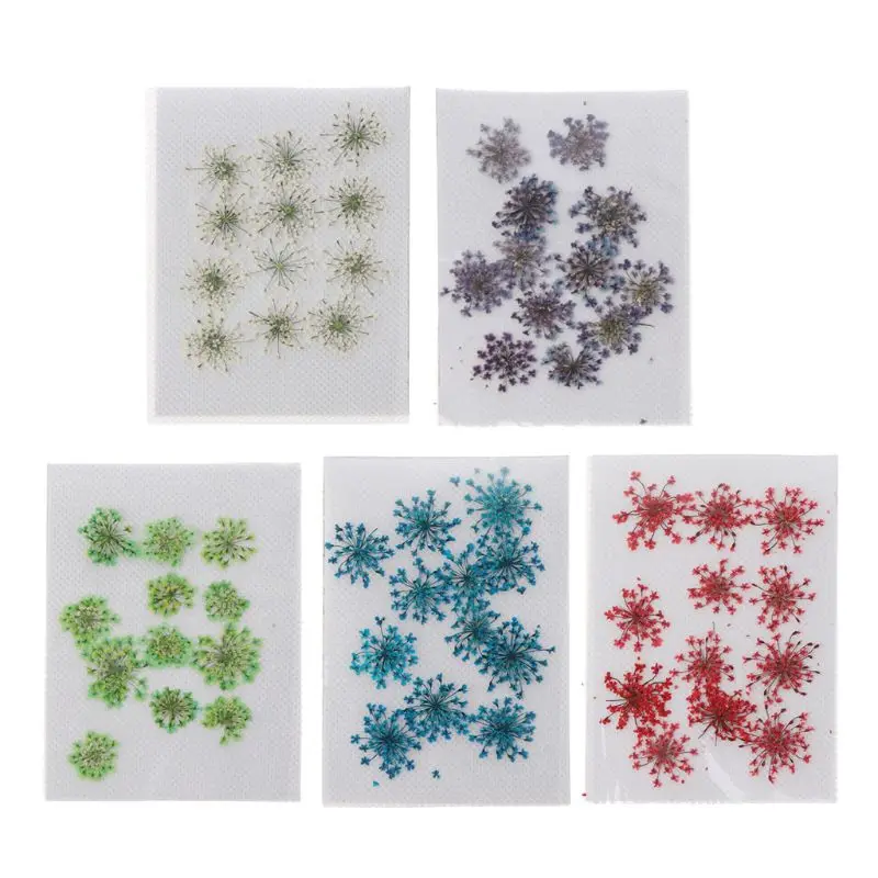 

12Pcs Real Pressed Flowers Anne's Lace Dried Flowers For Resin Jewelry Making