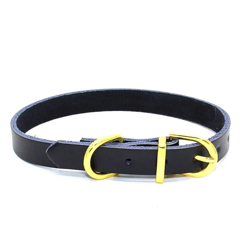 SYDZSW Real Leather Chihuahua Dog Collar Puppy Pet Collar leads for Small Dogs Cats Top Grade Golden Buckle Pet Dog Collar2
