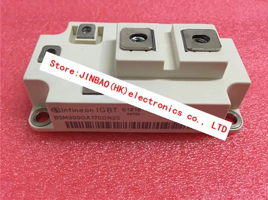 

BSM300GA170DN2S