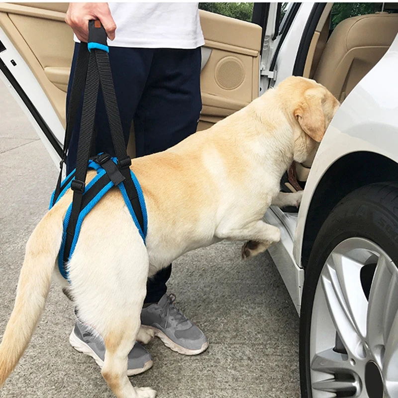 Regulowany podnośnik dla psa szelki dla tylnych nóg wsparcie dla zwierząt procy pomoc słabe nogi wstać psy domowe pomoc pomoc narzędzie dla starych psów