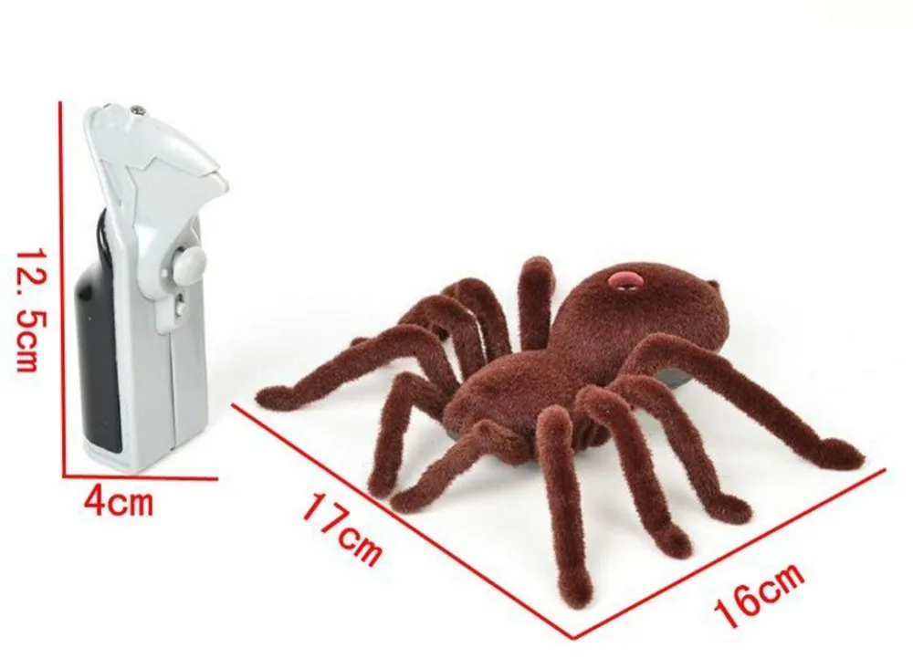 XYG-Spider-787_06