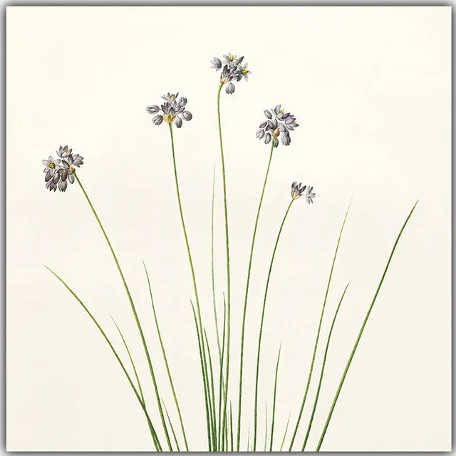 Fresh-Nature-Flowers-Are-Modern-and-Simple-Canvas-Painting-Art-Print-Poster-Picture-Wall-Paintings-Home.jpg_640x640 (4)