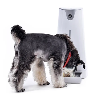Best Brand Automatic Pet Dog Feeder With LCD Light Dispenser Electronic Timer Programmable-Automatic Cat Feeder Pet Bowl Food Storage