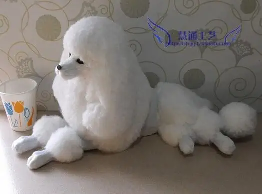 

Display items on the table in the counter window display: doll plush toy lovely dog walk poodle lady dog
