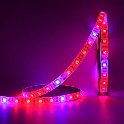 

5m/roll LED Phyto Lamps DC12V Waterproof Full Spectrum LED Strip Light 5050 Chip LED Grow Light For Greenhouse Hydroponic plant
