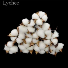 Lychee 10 шт. искусственные Натуральные Сушеные хлопковые Цветочные головки сушеные прессованные цветы DIY ремесла Свадебная вечеринка украшения