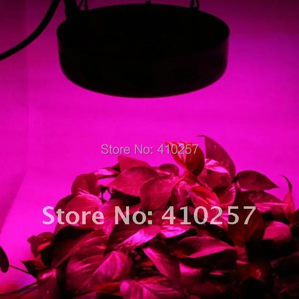 

UFO Led Horticulture Lighting 50W(50*1W) for greenhouse lights and lighting,Dropshipping