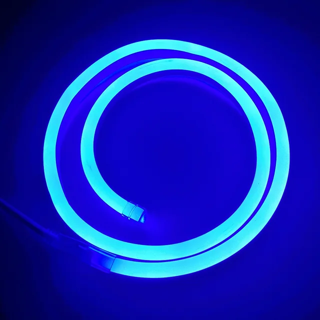 1 10meters blue color mini neon flex 120pcs 2835smd lighting led