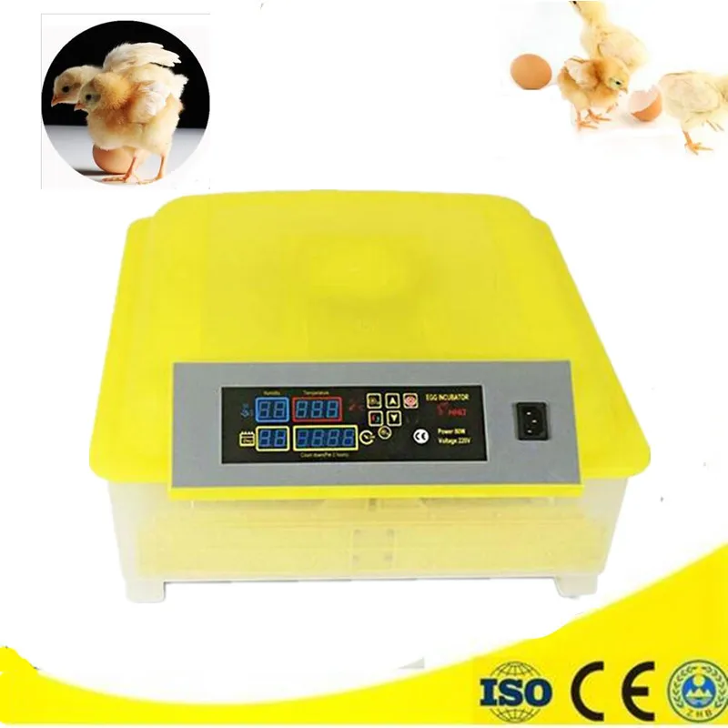 48 eggs automatic incubator commercial hatchery small digital LED