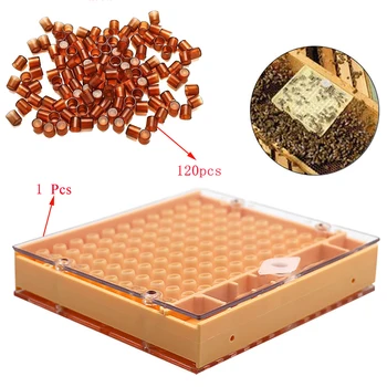 

1Set complete queen bee rearing system equipment kit box cover box cells cages room plastic new bees beekeeping apicultura