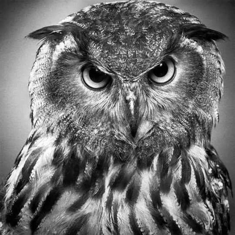 f.jwwb.nl_public_i_n_y_temp-vszhxcjffyzkvmdlokxa_uil39