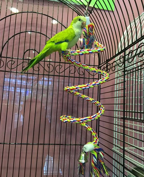 

1PCS bird toy big and medium parrot climbing rope, parrot toy rotating ladder, macaw toy package