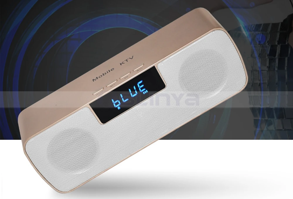 Speaker with wireless microphone 8040170721 (13)