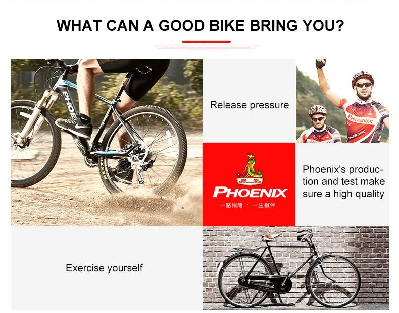 Велосипед Phoenix, 26 дюймов, 21 скорость, горный велосипед, алюминиевый сплав, двойной дисковый тормоз, MTB велосипед, bicicleta, горный шоссейный велосипед