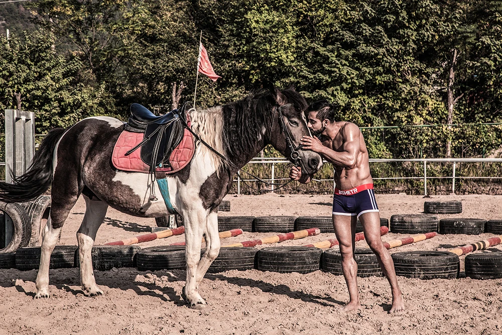 Бренд BSHETR, 4 шт./партия нижнее белье для мужчин, мужские шорты-боксеры, сексуальные боксеры Cueca, хлопковые боксеры, шорты, мужское нижнее белье, боксеры, мужские трусы