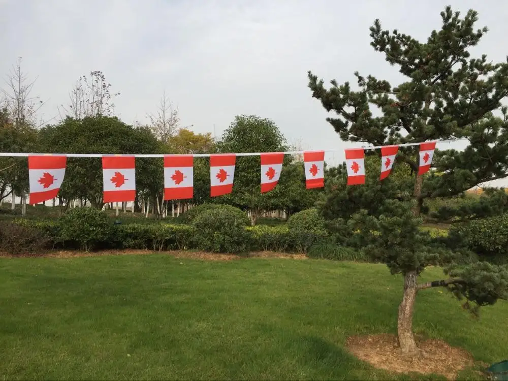 9 м длина Канада 14*21 см флаги Канада вымпел украшения флаг каждый набор 30 шт. флаг подвесной