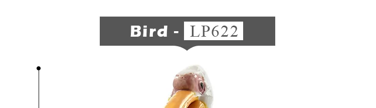 -3--DW-M-LP622-824-827_01