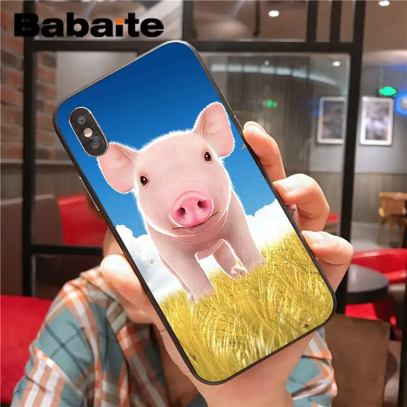 Cartoon Animal Pig