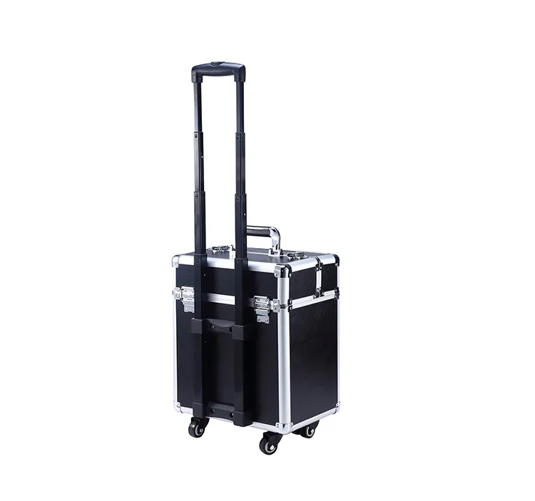 case (5)