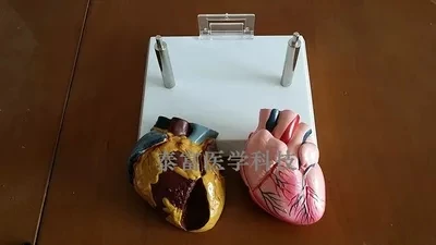 TB2grdOrB8lpuFjSspaXXXJKpXa_!!478904890.jpg_400x400.jpg_.webp