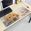 Computer Peripherals