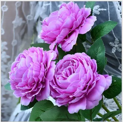 QQ20181217202712