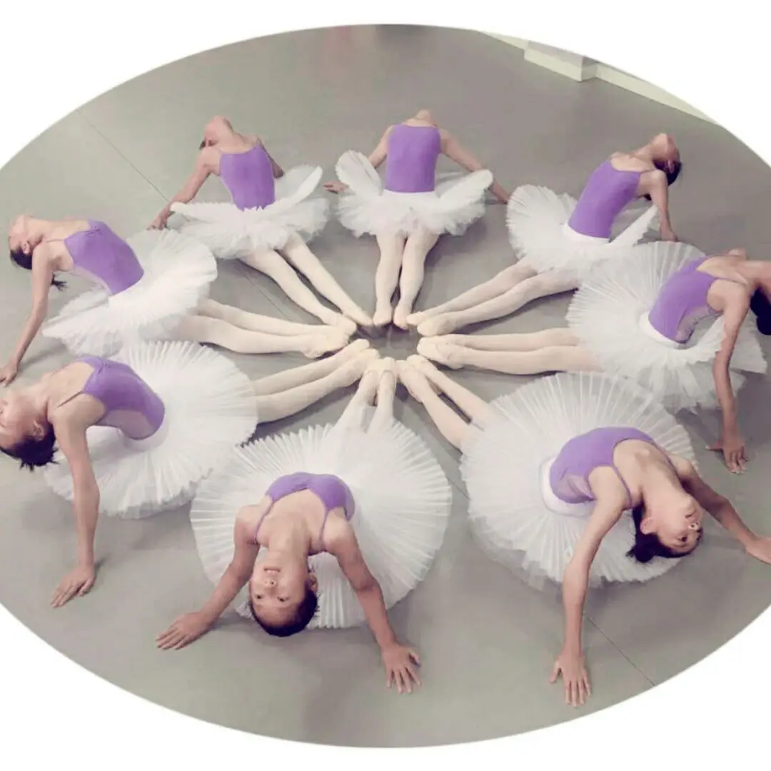 Adult Ballet Leotard Tutu Skirt Female Swan Lake Dance Costumes Professional Ballet Tutu Pancake Skirts for Women 6 Layers