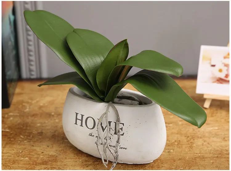 wholesale big size artificial orchid leaf with artificial roots orchid