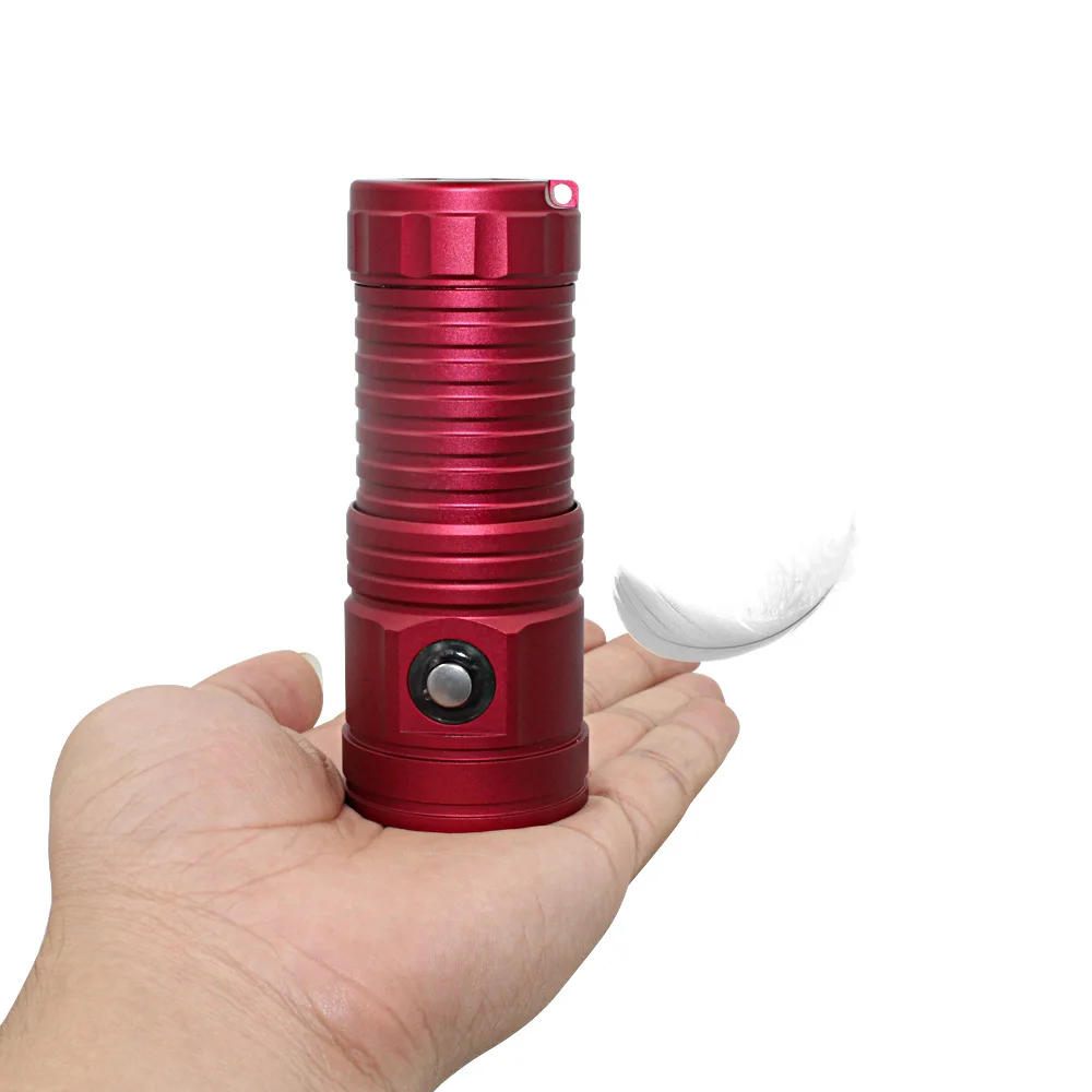 underwater video light (2)