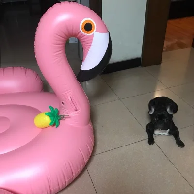 150cm flamingo  float