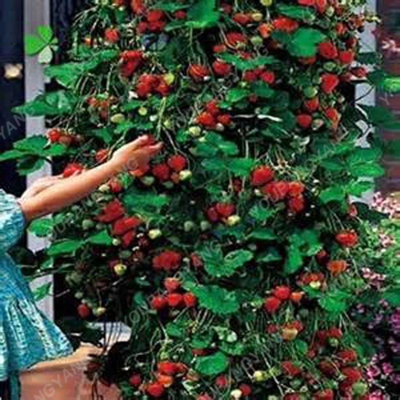 HTB1eWxOgC3PL1JjSZFtq6AlRVXaj.jpg?size=4