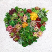Artificielle Mini succulente paysage fleur de Lotus fournitures de fête de mariage moins cher Fleshiness Cactus fausses plantes maison jardin décor(China)